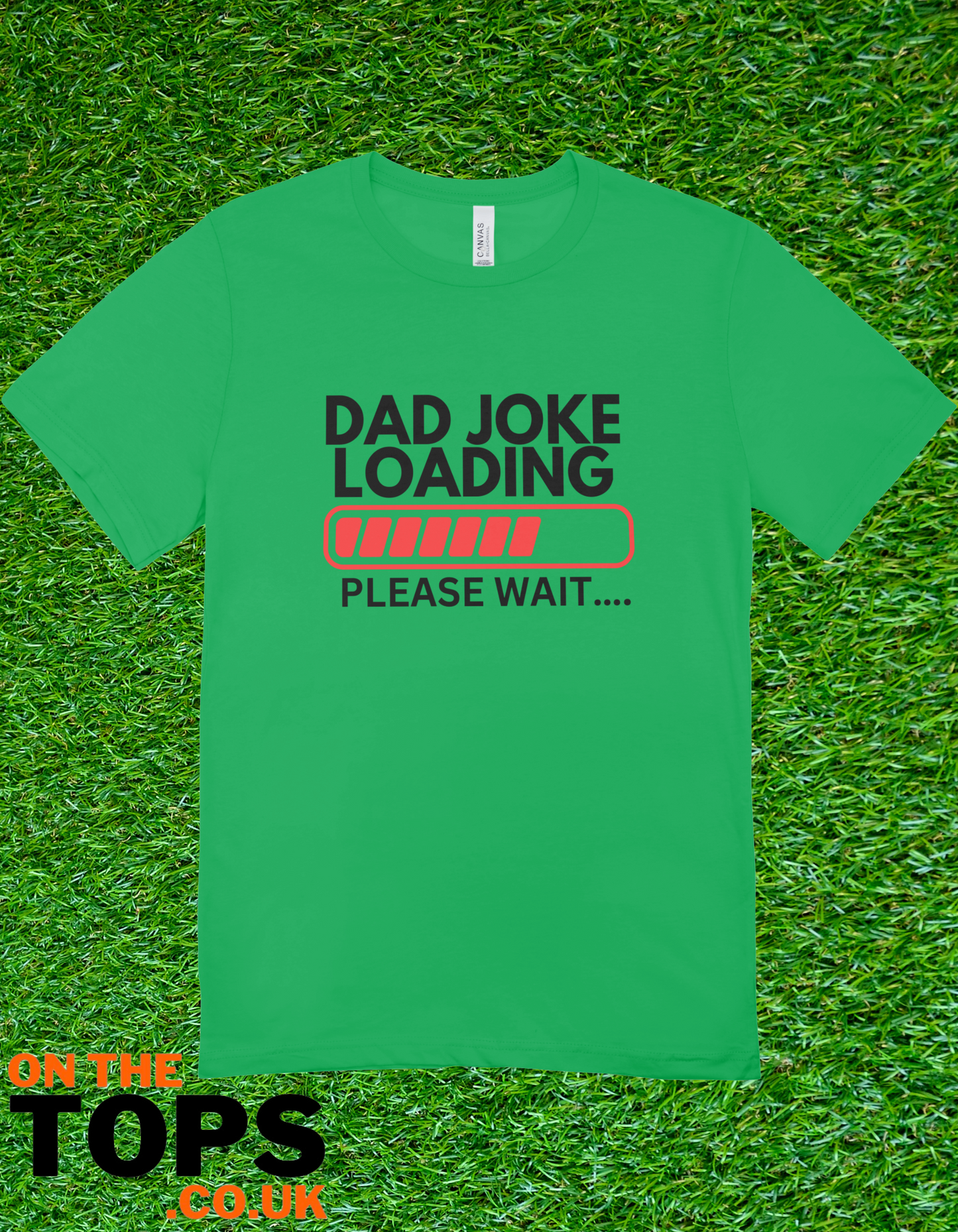 Dad joke t-shirt