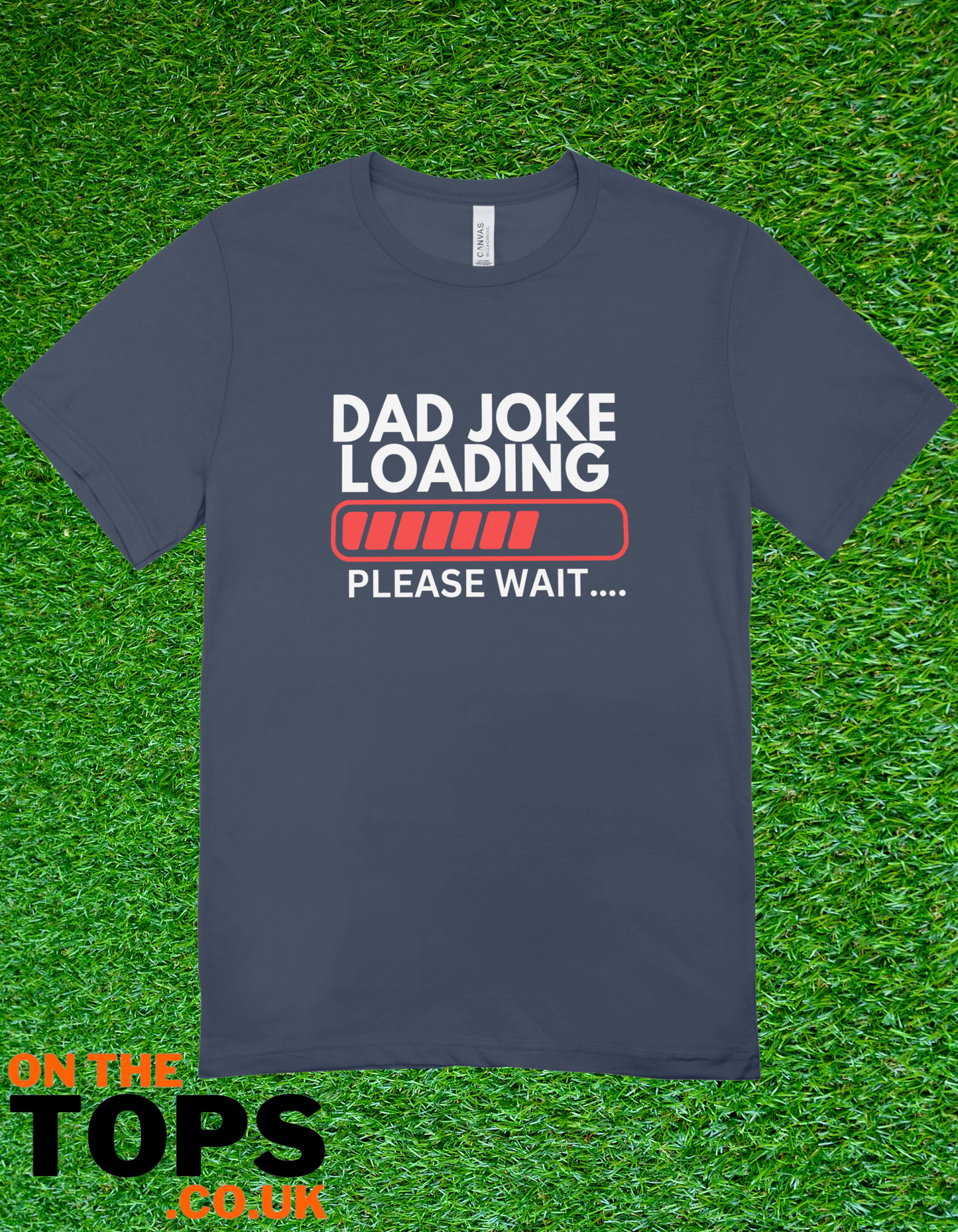 Dad joke t-shirt