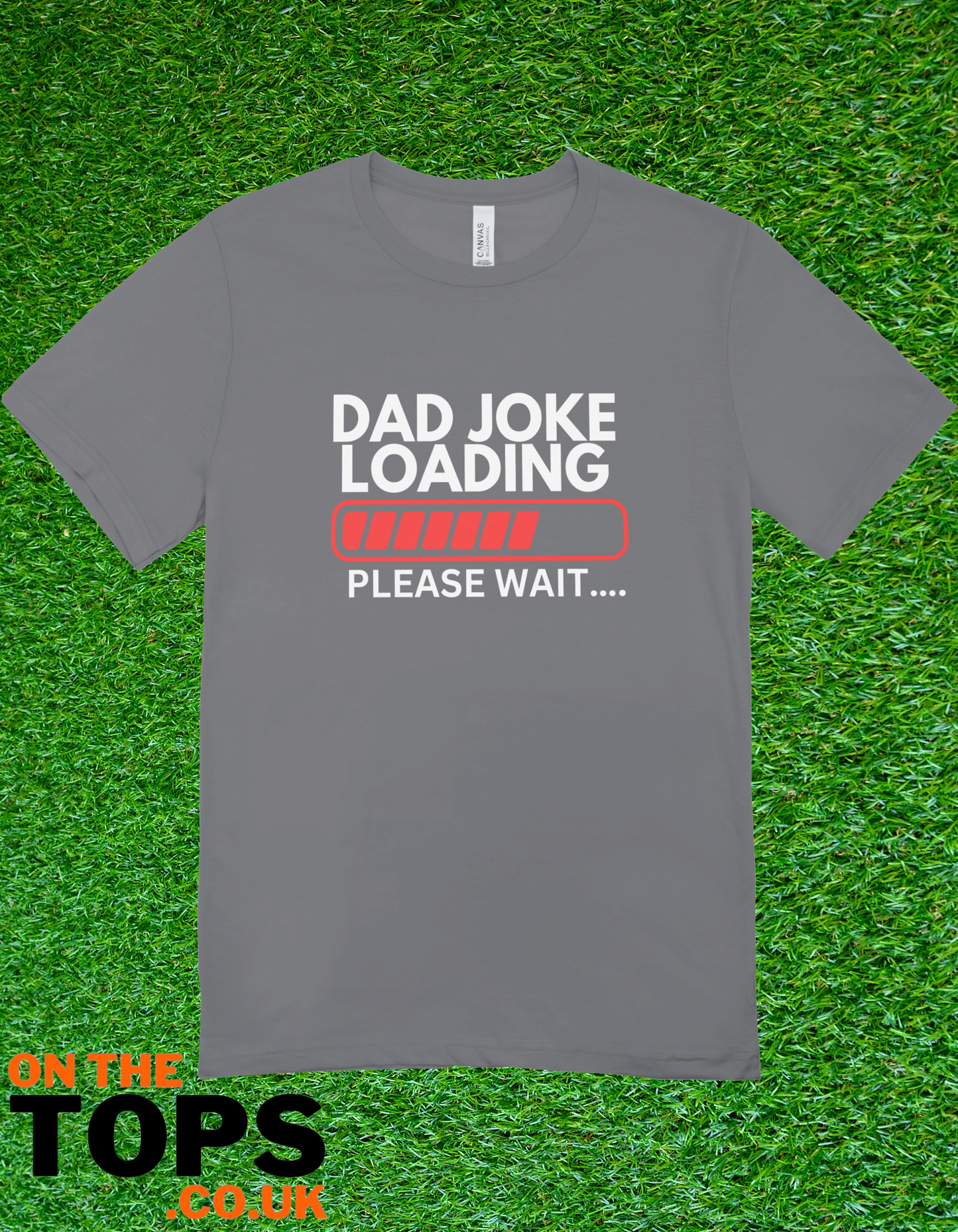 Dad joke t-shirt